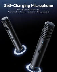 karaoke20mics 1747251919 Karaoke Machine Rental